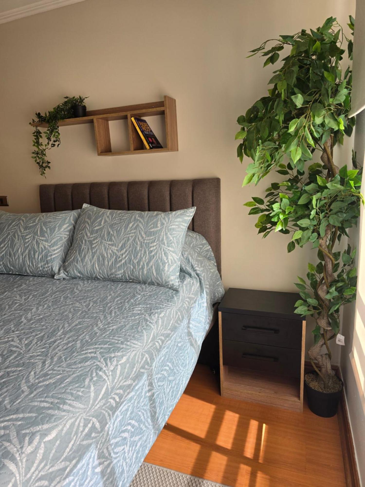 Providencia Matrimonial Bano Privado A Pasos Barrio Bellavista Wifi Parcking Gratis Guest house Santiago